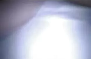XXX För hamster free porr minne